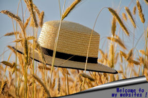 summer
